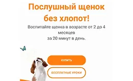 Послушный щенок без хлопот!