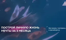 Построй личную жизнь мечты за 3 месяца