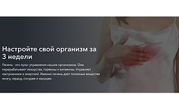 Практикум по печени logo