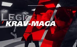 Приемы и техники Крав-мага. Ударная техника