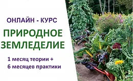 Природное земледелие