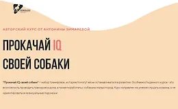 Прокачай IQ своей собаки