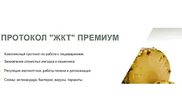 Протокол «ЖКТ» Премиум