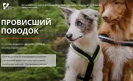 Провисший поводок