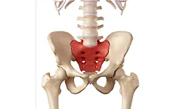 Работа с тазобедренным суставом