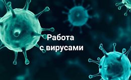Работа с вирусами logo
