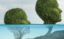 Развитие устойчивости: Обретение смысла в трудностях logo