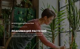 Реанимация растений logo
