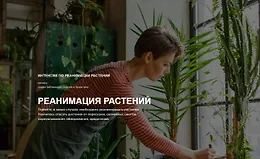 Реанимация растений