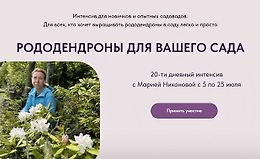 Рододендроны для вашего сада logo