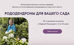 Рододендроны для вашего сада