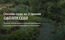 Сад для себя