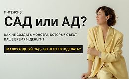 Сад или ад logo