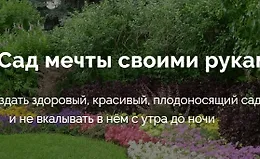 Сад мечты своими руками