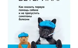 Сам себе ветеринар. Как оказать первую помощь собаке и не пропустить симптомы болезни