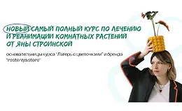Самый полный курс по лечению и реанимации комнатных растений
