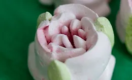 Сборник Зефирные подарки