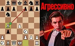 Северный Гамбит 2.0