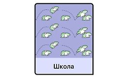 Школа logo
