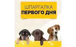 Шпаргалка первого дня