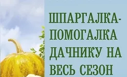 Шпаргалка-помогалка дачнику на весь сезон