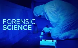 Следы улик: как работает судебная экспертиза