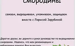 Смородина от А до Я