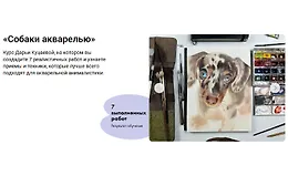 Собаки акварелью