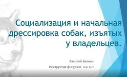 Социализация и начальная дрессировка собак, изъятых у владельцев logo