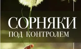 Сорняки под контролем. Избавляемся от нежелательных соседей