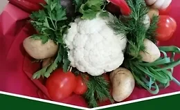 Современный огород и плодовый сад