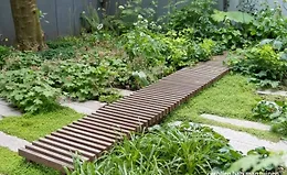 Создаем стильный сад на двух сотках.