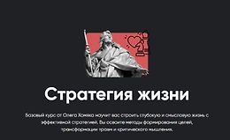 Стратегия жизни logo