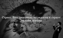 Стресс. Ваш двигатель на радости и страхе logo