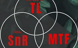 Супер курс — SNR TL MTF 