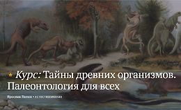 Тайны древних организмов. Палеонтология для всех logo