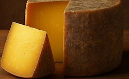 Технология сыра Bitto Storico logo