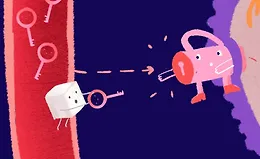 Теоретический курс питания при акне