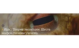 Теория эволюции. Шесть мифов глазами ученых