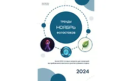 Тренды фотостоков (ноябрь 2024)