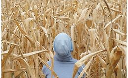 Учимся снимать и обрабатывать как Уэс Андерсен logo