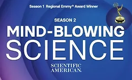 Умопомрачительная наука: 2 cезон