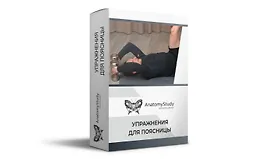 Упражнения для поясницы