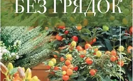 Урожай без грядок. Огород в контейнерах