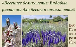 Весеннее великолепие