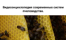 Видеоэнциклопедия современных систем пчеловодства