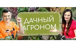 Видеоуроки Розы