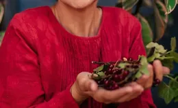 Витамины и минералы