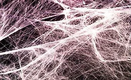 Восстановление фасции. Усиленная версия Plus +11x (Экстра-сильная)