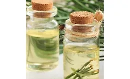 Всё о сосне. Использование сосны в фитотерапии, кулинарии, ароматерапии, гидролатотерапии